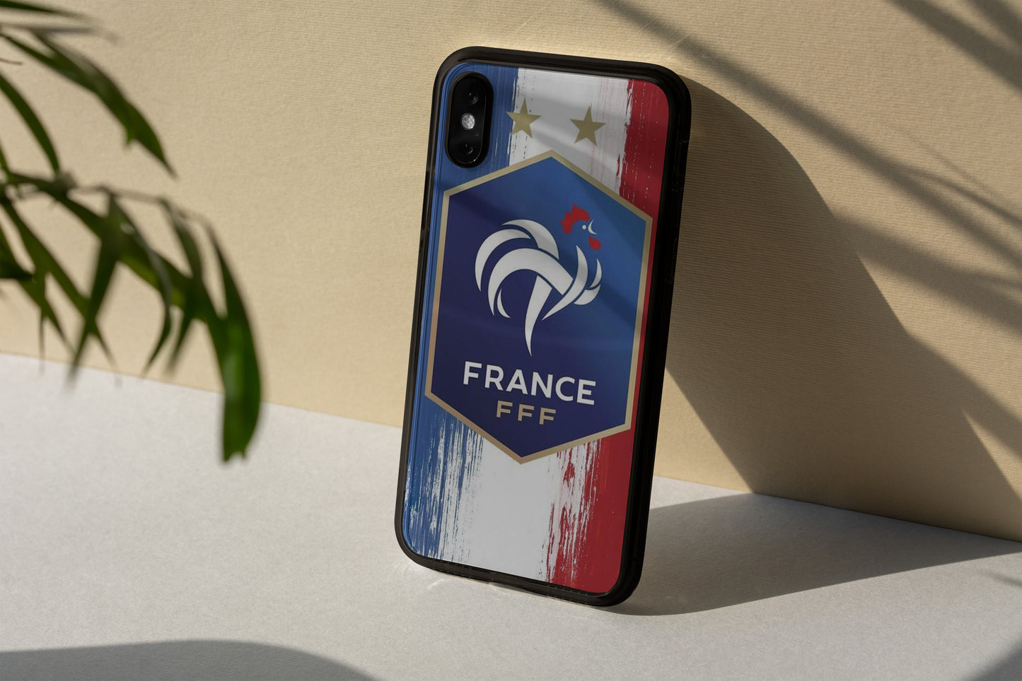 France Case